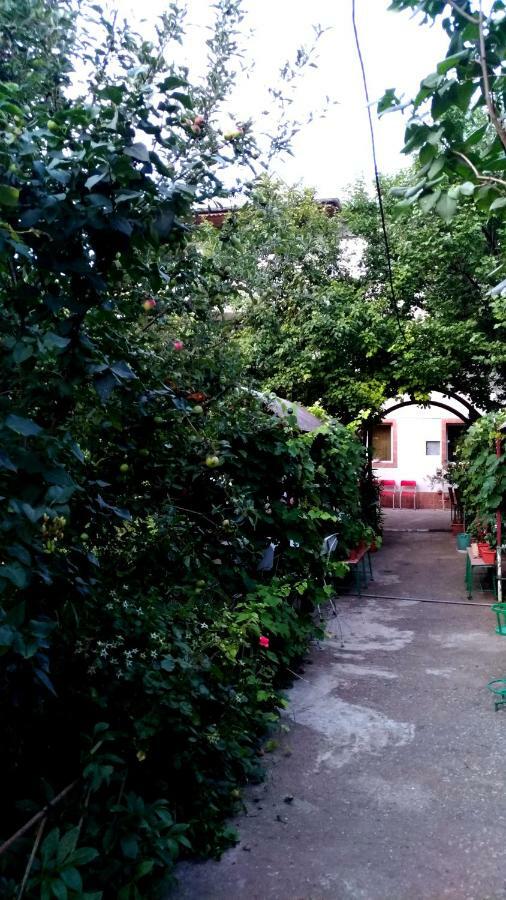 Casa Din Gradina Vila Eforie Sud  Exterior foto