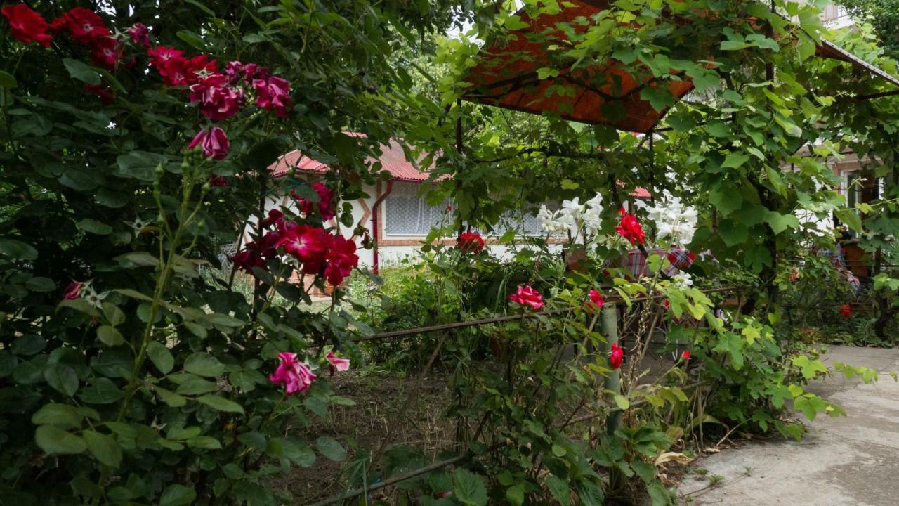 Casa Din Gradina Vila Eforie Sud  Exterior foto